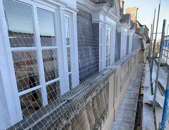 Bird Netting John Lewis Roof Cambridge 6