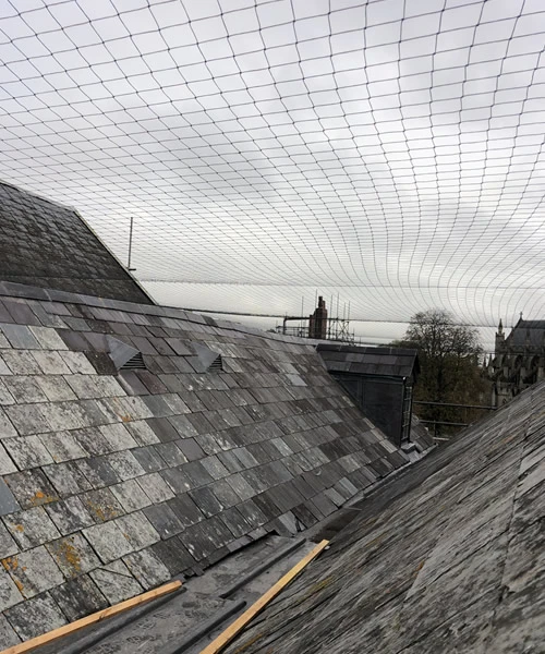 Large Bird Netting Exeter 2