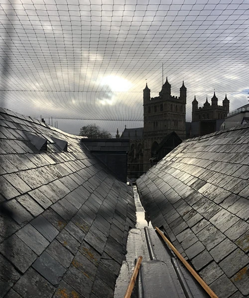 Large Bird Netting Exeter 3