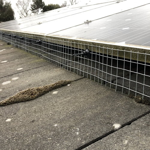Solar Panel Proofing Bromley