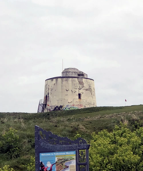 Pigeon Guano Clearance Folkestone 1
