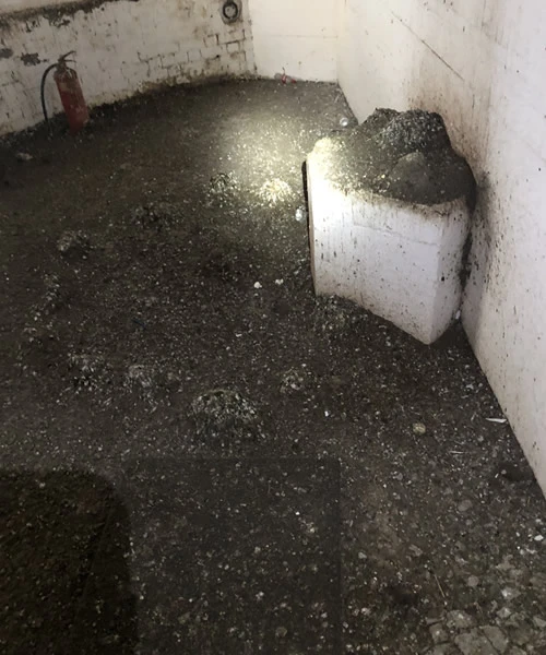 Pigeon Guano Clearance Folkestone 2