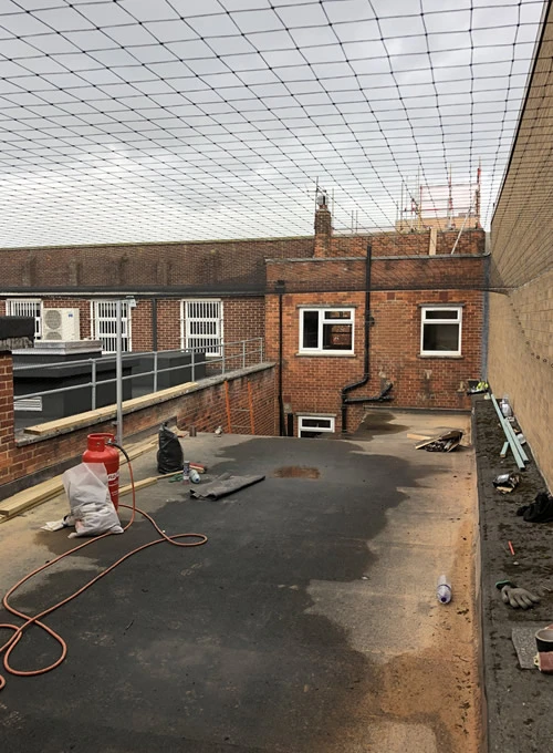 Bird Netting in Southampton 4