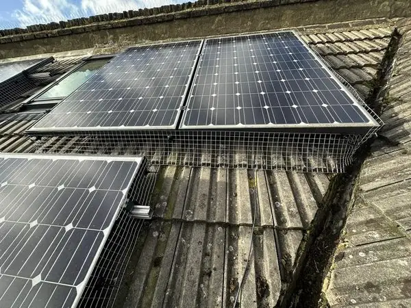 Bird proofing mesh fitted around solar panels