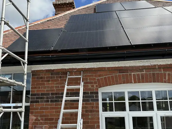 Solar panel bird proofing from scaffolding